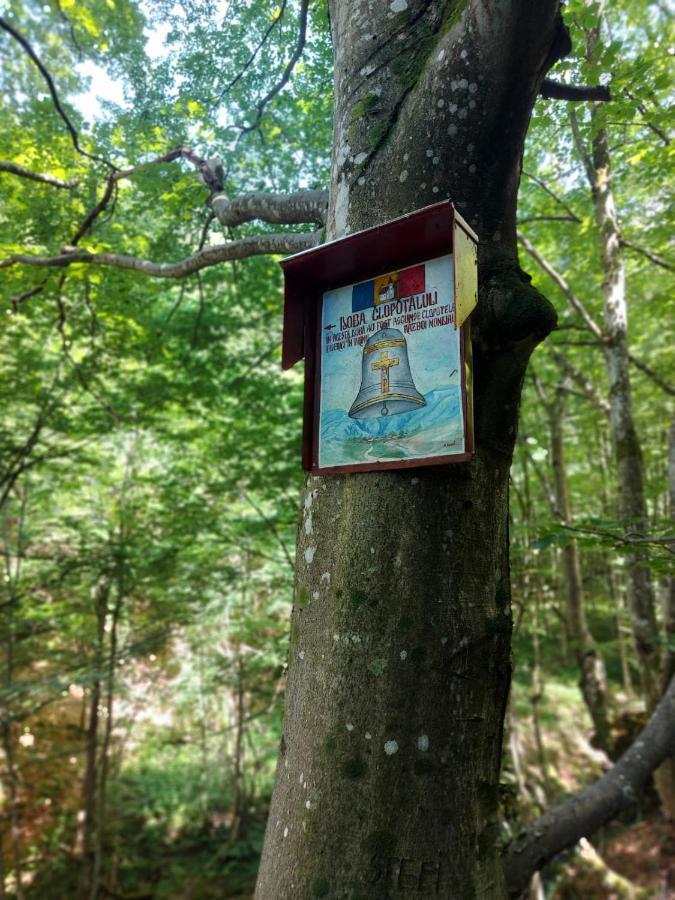 Вилла Casuta Din Rusca Sebesu de Jos Экстерьер фото