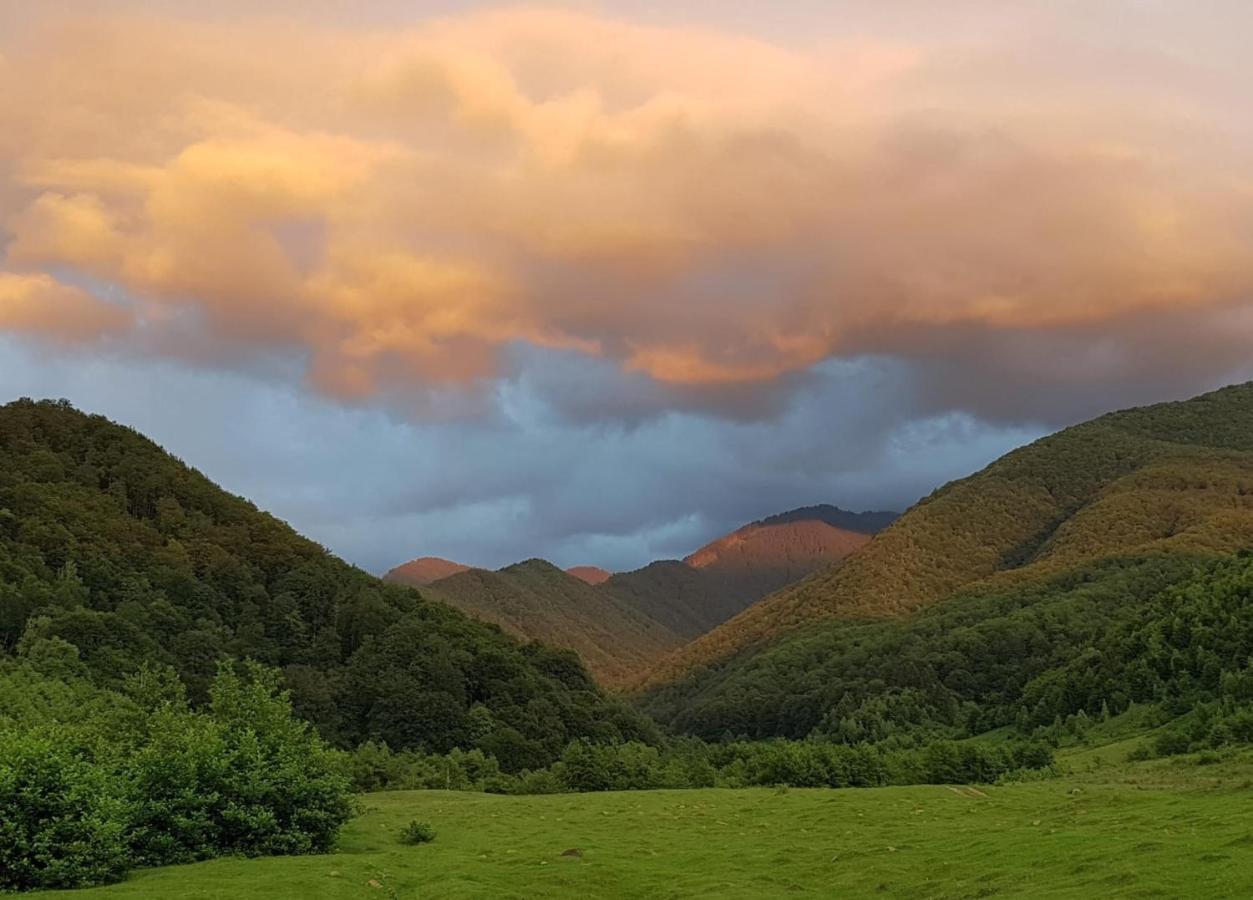Вилла Casuta Din Rusca Sebesu de Jos Экстерьер фото
